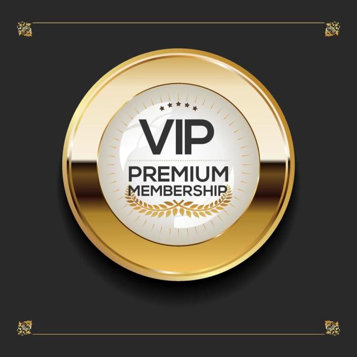 Bedah Fitur Premium Lottery VIP yang Gak Ada di Akun Biasa